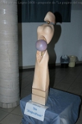 Sculture_Cavino_ 2009 (175)